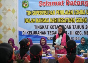 Tim TP PKK Medan Lakukan Supervisi UP2K ke Kelurahan Tegal Sari III