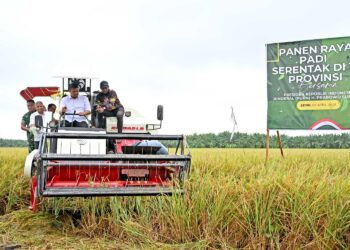 Wujudkan Tanam Padi Tiga Kali Setahun,  Gubernur Bobby Nasution Minta Bantuan ke Presiden untuk Perbaikan Tanggul