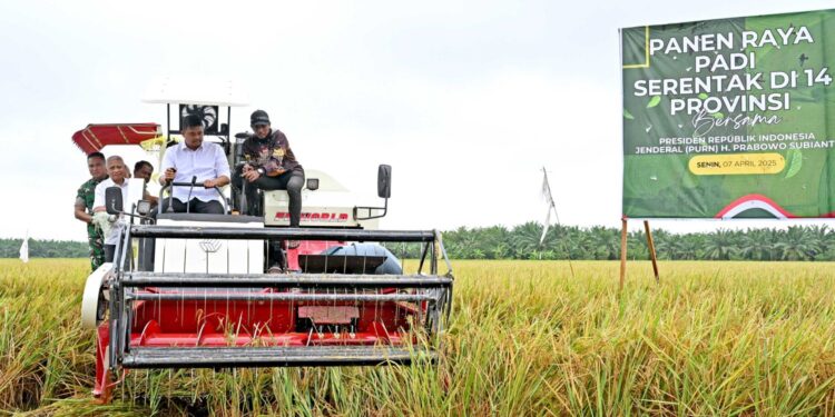 Wujudkan Tanam Padi Tiga Kali Setahun,  Gubernur Bobby Nasution Minta Bantuan ke Presiden untuk Perbaikan Tanggul