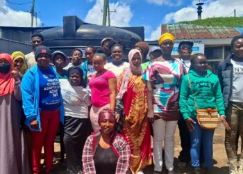 Green Press Indonesia Kunjungi Jurnalis Afrika, Bongkar Disinformasi Iklim dan Ketimpangan Informasi Pemerintah