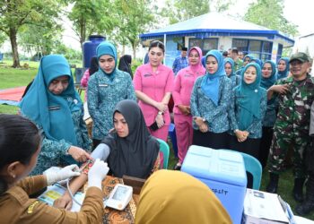 Tinjau Posyandu di Labusel, Wakil Ketua TP Posyandu Sumut Ajak Masyarakat Rutin ke Posyandu