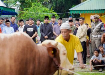 Rico Waas Saksikan Penyembelihan Sapi Kurban Presiden Prabowo Subianto di Masjd Raya Al Osmani