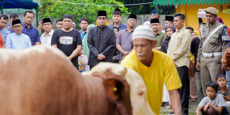 Rico Waas Saksikan Penyembelihan Sapi Kurban Presiden Prabowo Subianto di Masjd Raya Al Osmani
