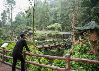 Benahi Medan Zoo, Rico Waas Minta Masukan dan Diskusi dengan Komisaris Taman Safari Indonesia Bogor
