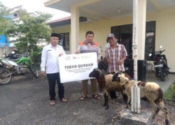Harmoni Berbagi, Terangi Negeri: Tebar Qurban PLN Indonesia Power UBP Kamojang PLTP Gunung Salak Bersama Rumah Zakat