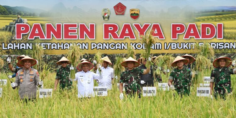 Wagub Sumut Bersama Panglima TNI Panen Raya Padi di Deliserdang