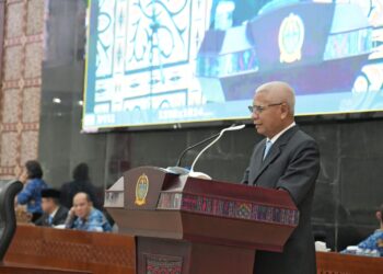 RPJMD Sumut 2025-2029,  Wagub Sumut Surya Sampaikan Sembilan Target Sasaran