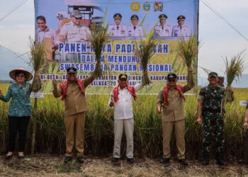 Panen Raya Padi di Karo, Wagub Surya Pastikan Keberpihakan Pemerintah kepada Petani