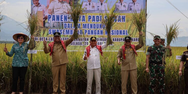 Panen Raya Padi di Karo, Wagub Surya Pastikan Keberpihakan Pemerintah kepada Petani