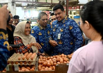 Pemprov Sumut Pastikan Stok dan Distribusi Minyakita Aman, Harga Mulai Stabil