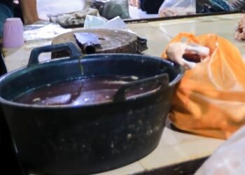 *Harga Ayam dan Bumbu Dapur Naik, Pemko Medan Sidak Pasar dan Siapkan Intervensi Harga*