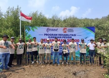 INSED-LPS Tanam 20.000 Mangrove di Karawang, Gaungkan Aksi Tobat Ekologis